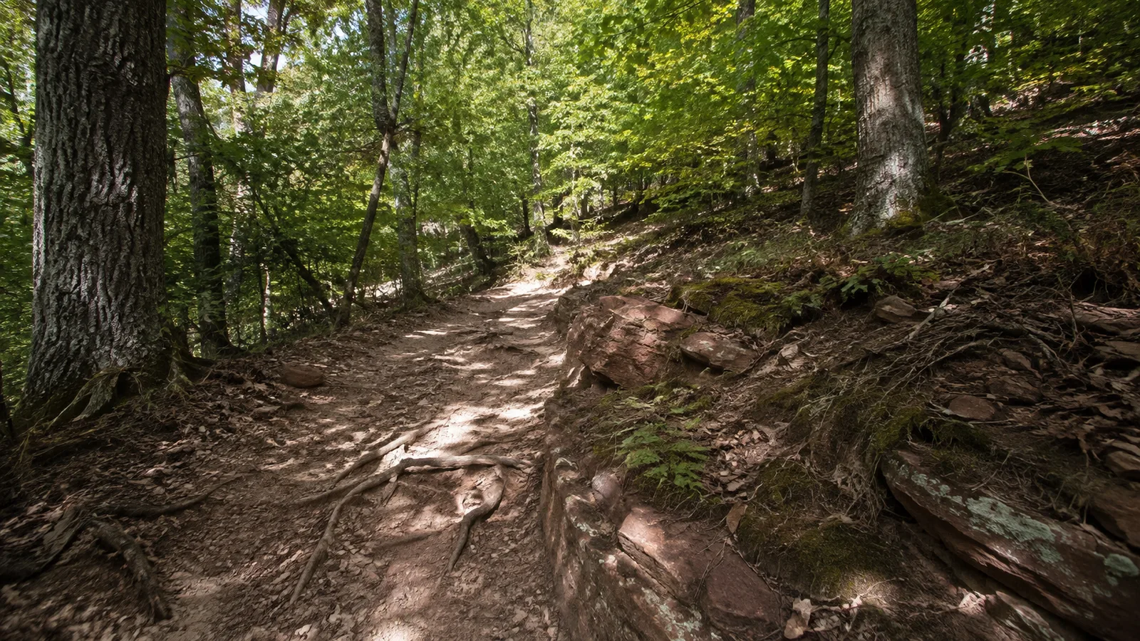 Kalmit: Sandsteinhöhe über der Rheinebene