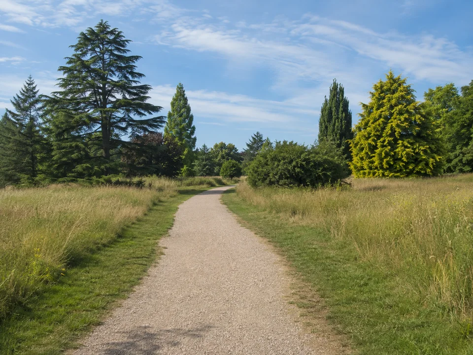 Arboretum bei Eschborn: Weiter ebener Kiesweg zwischen offenen Wiesen und unterschiedlich geformten Laub- und Nadelbaumgruppen