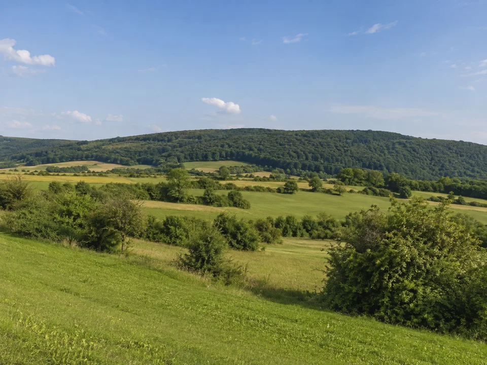 Wiesen am Haßbergtrauf: Offene Wiesen und Hecken bei Hofheim in Unterfranken vor einem bewaldeten sanften Haßbergtrauf