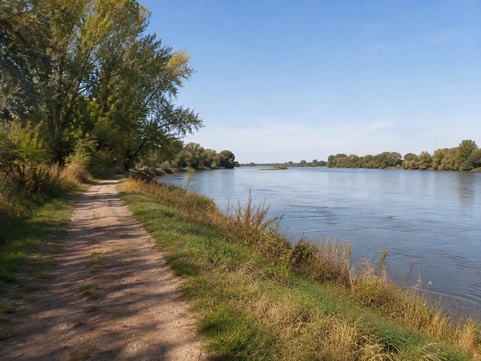 Untermain bei Seligenstadt: Flacher Uferweg am breiten ruhigen Main bei Seligenstadt mit Auenbäumen und niedrigem ebenen Horizont, keine Berge
