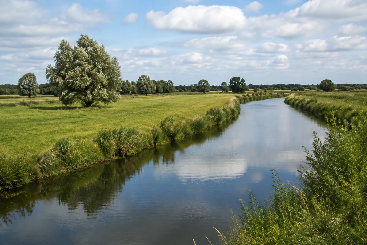 Malchin: Malchin, Startgebiet Malchin Markt: Flache Wiesen am Peenekanal bei Malchin mit Weiden und ruhigem Wasser