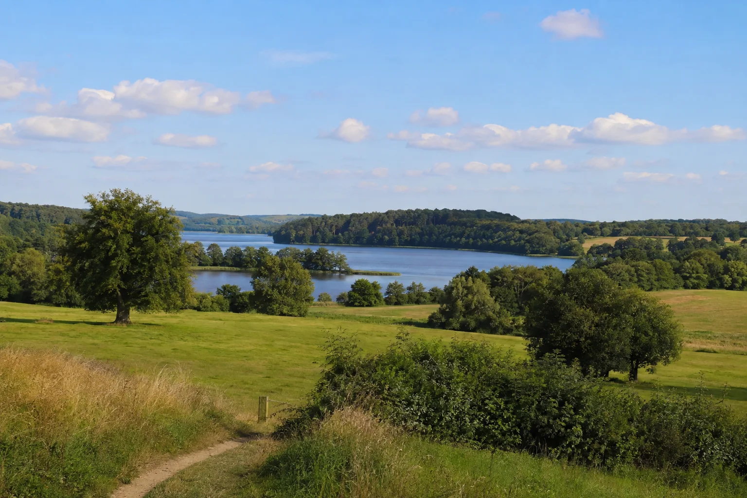 Timmdorfer Landschaft: Dorfwiesen und einzelne alte Bäume zwischen kleinen bewaldeten Seen in sanftem Hügelland