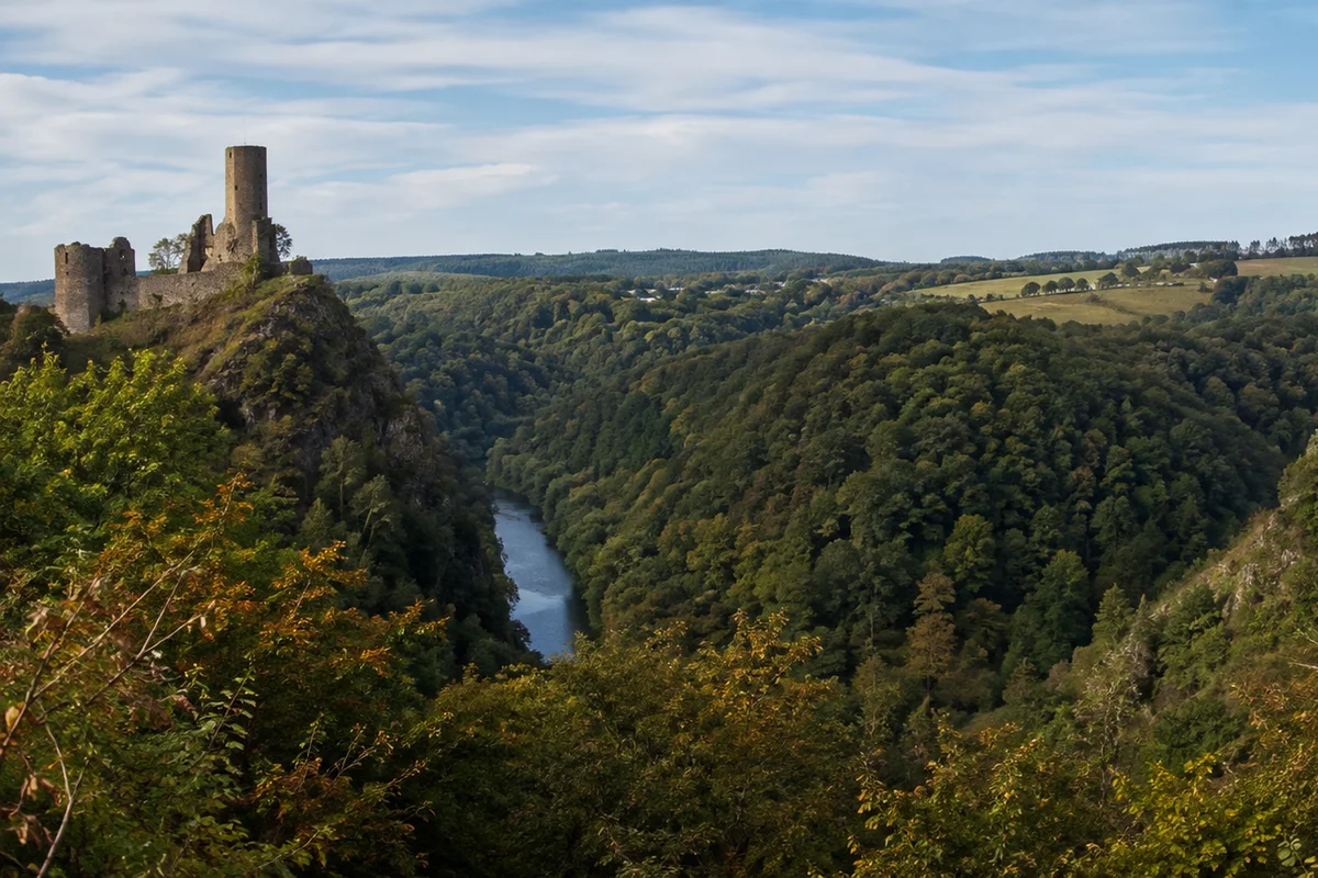 Liesertal: enger Waldpfad entlang der Lieser
