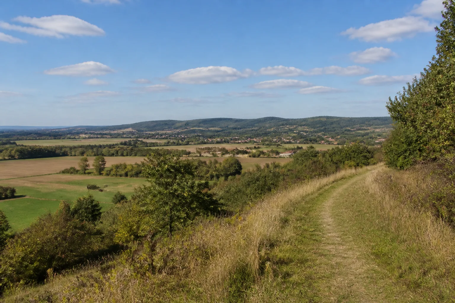 Panoramaweg am Hungerberg