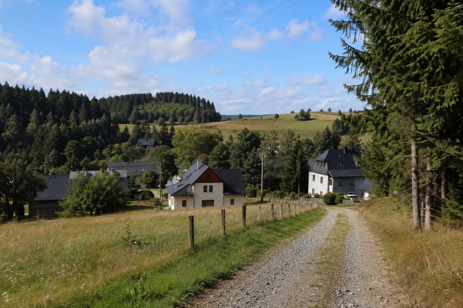 Breitenfelder Waldsaum: ländlicher Weg mit verstreuten Dorfhäusern und Fichtenwald