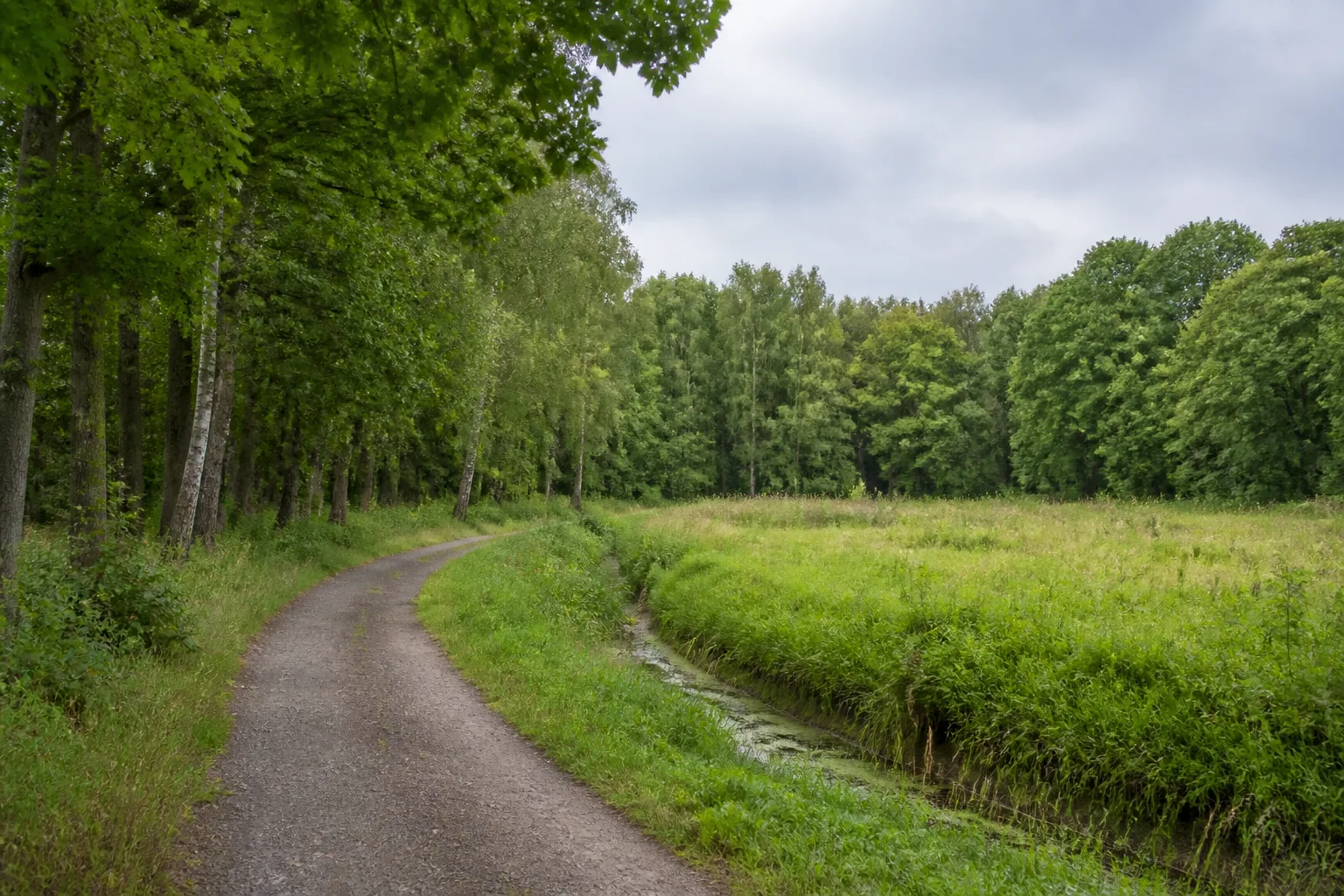 Breiter Mischwaldweg im Arenbergischen Forst im Westen von Marl