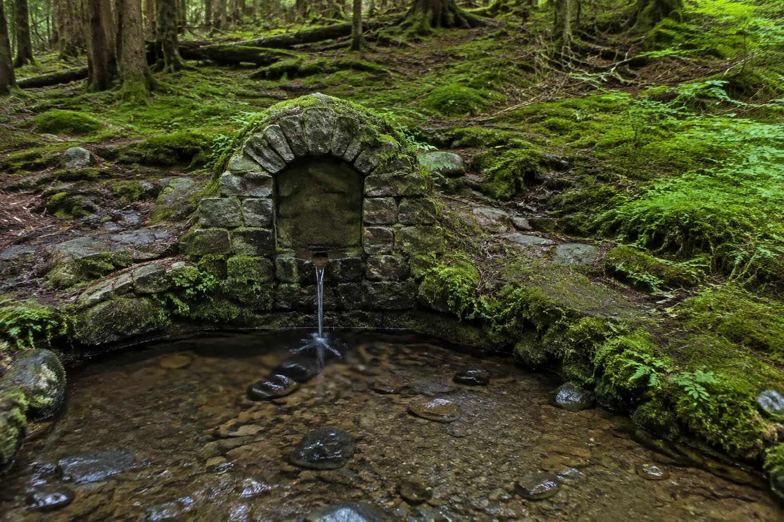 Werraquelle: gefasste Quelle in moosigem Bergwald bei Fehrenbach