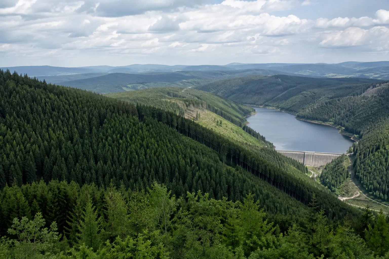 Goldisthal: weiter Blick über bewaldete Hänge und das Oberbecken