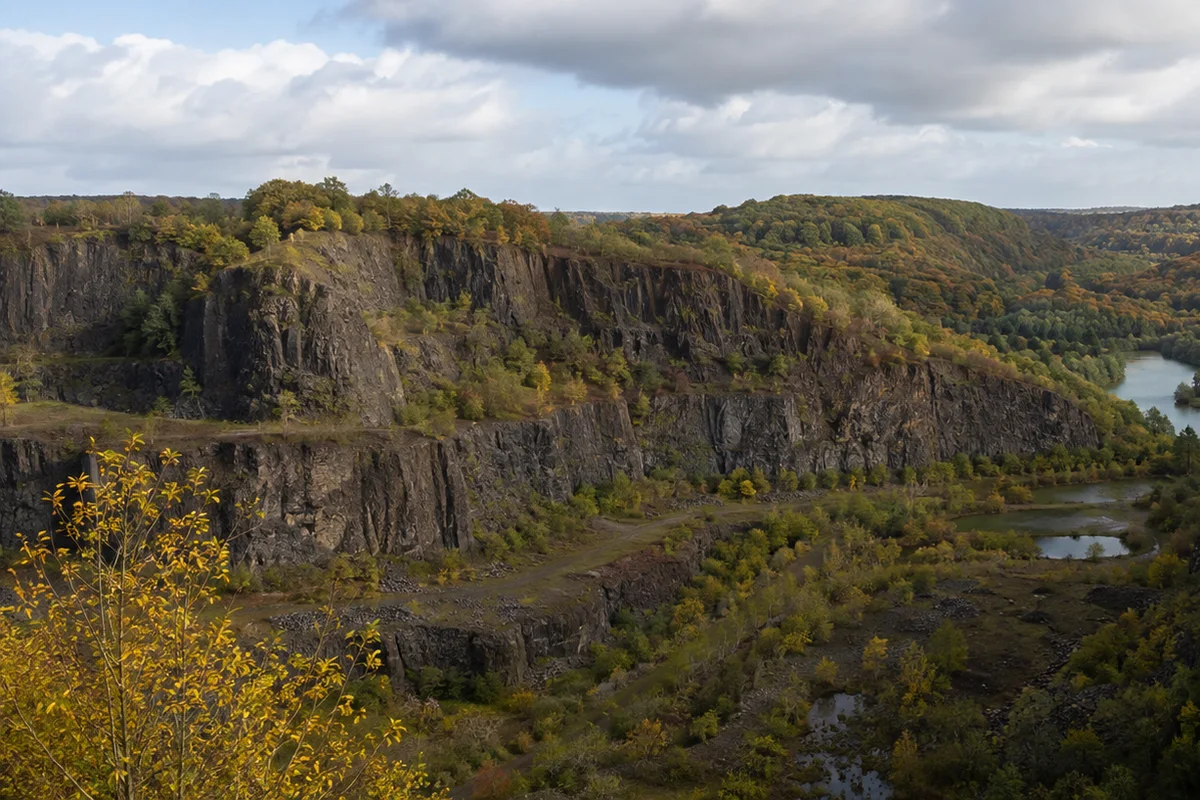 Mayener Grubenfeld: dunkle Basaltwände und Wald