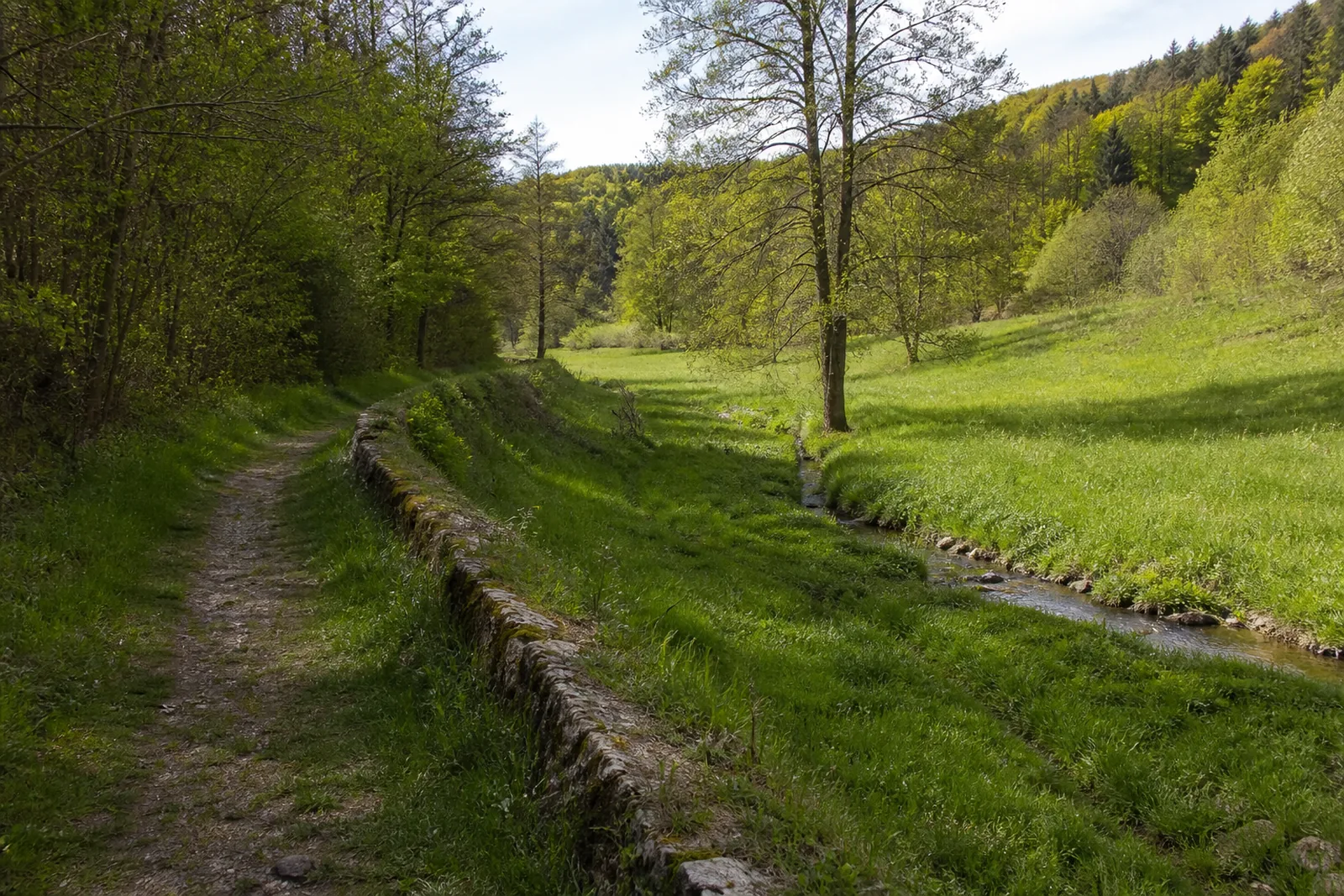 Weg und Bach im Feytal