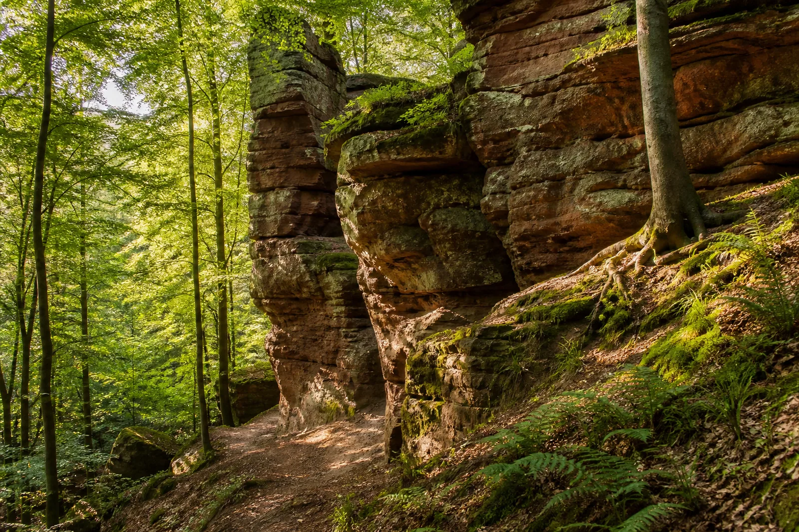 Sandsteinfelsen der Katzensteine