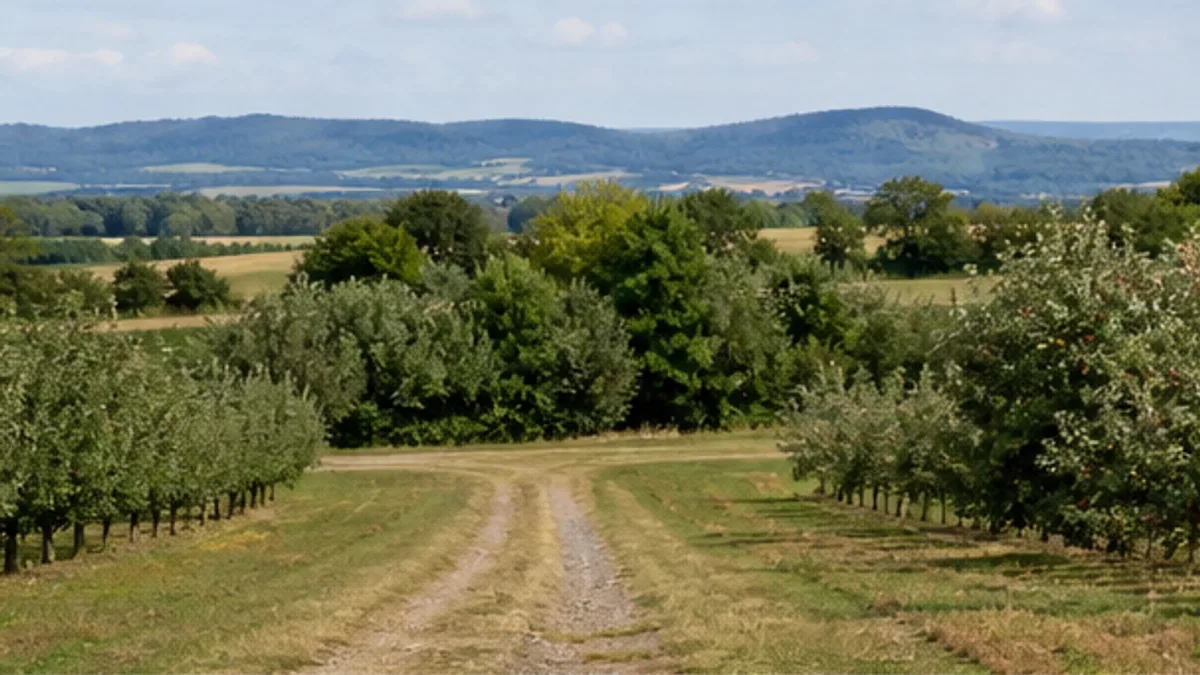 Meckenheim: Wanderweg zwischen Meckenheimer Obstplantagen