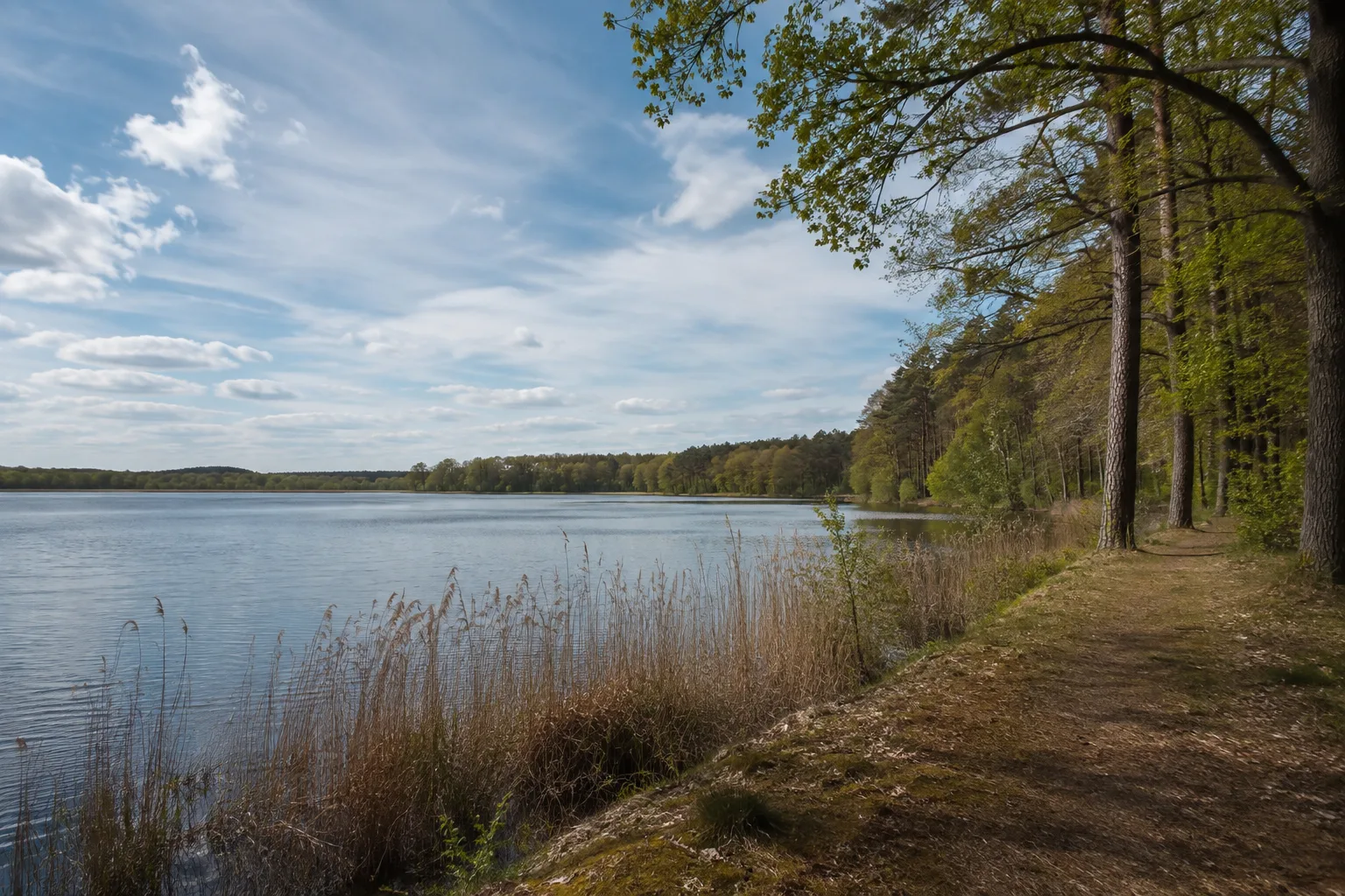Mecklenburg-Vorpommern: Mecklenburg-Vorpommern: weiter See mit bewaldetem Ufer und norddeutschem Himmel