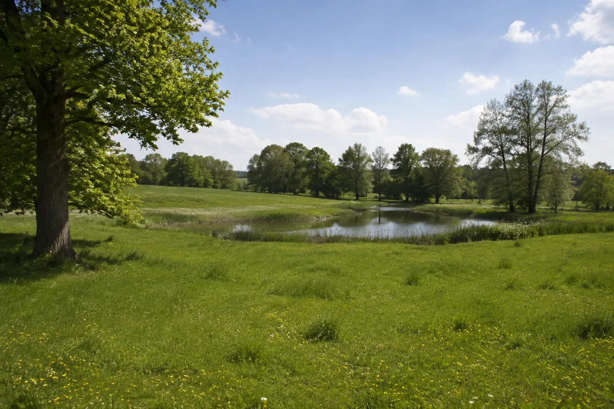 Parklandschaft bei Basedow mit Wiesen, alten Bäumen und kleinem Teich ohne Schlossnachbildung
