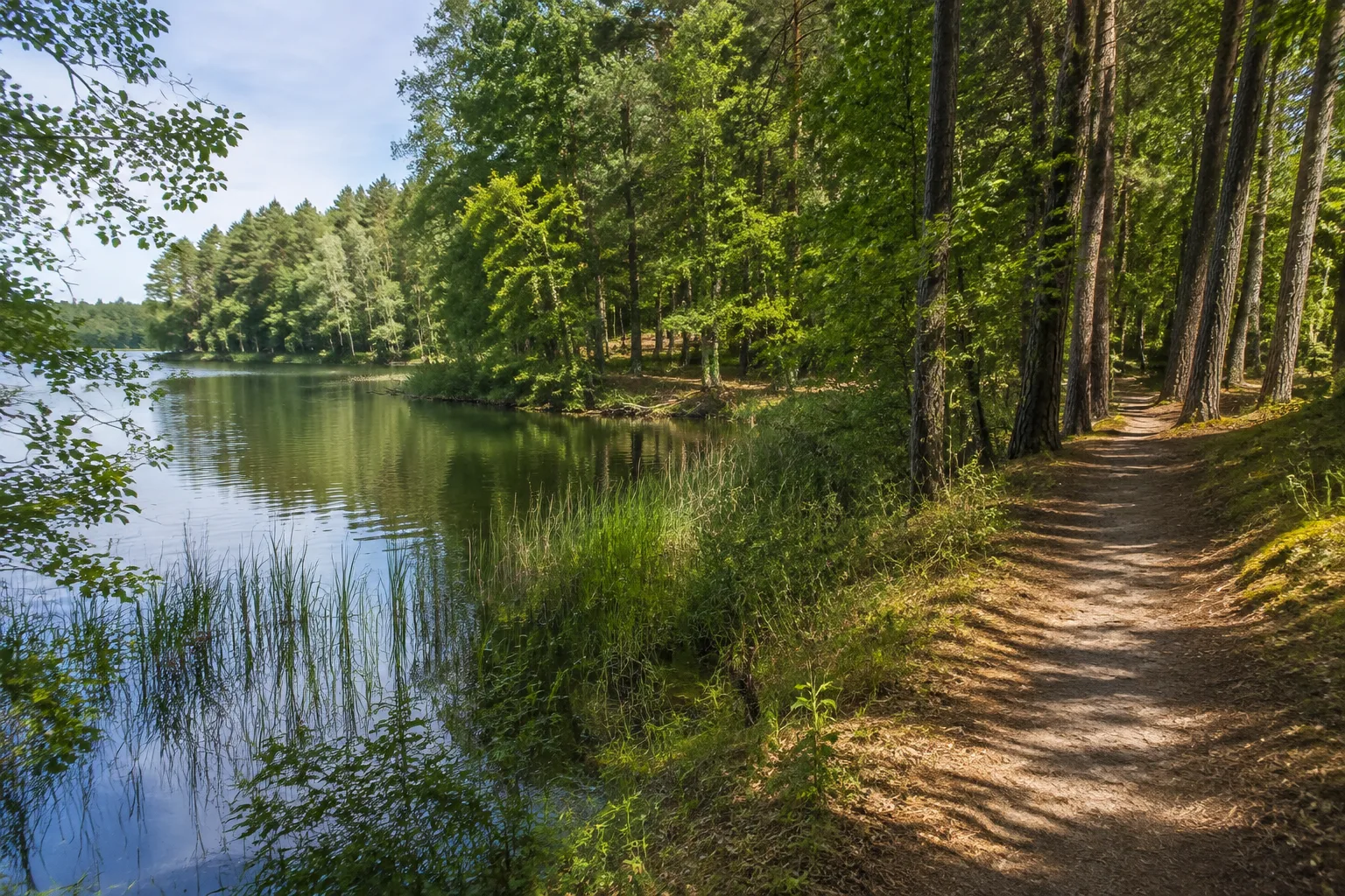 Kleinseenplatte: schmaler See mit bewaldeten Buchten und niedrigen Ufern