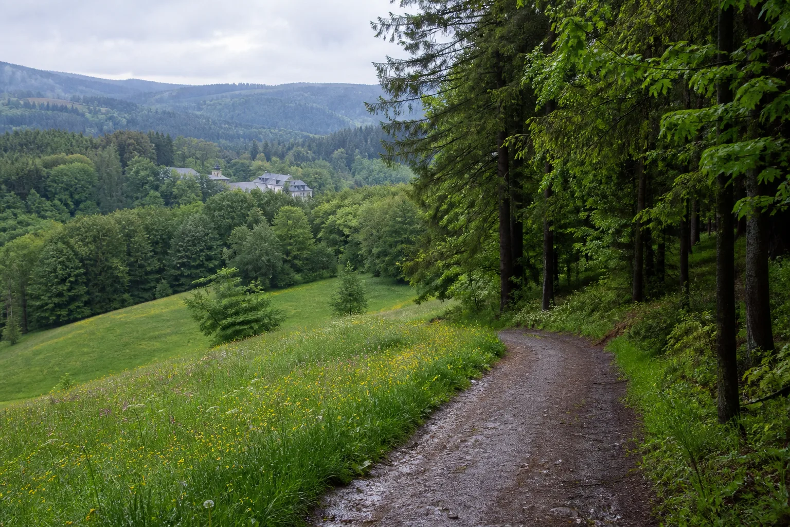 Wanderweg am Wald- und Wiesenrand bei Glindfeld in Medebach