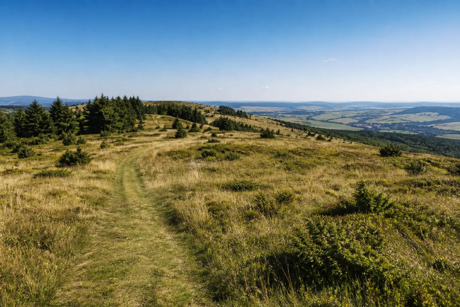 Grasweg über eine offene Sauerlandhöhe bei Düdinghausen