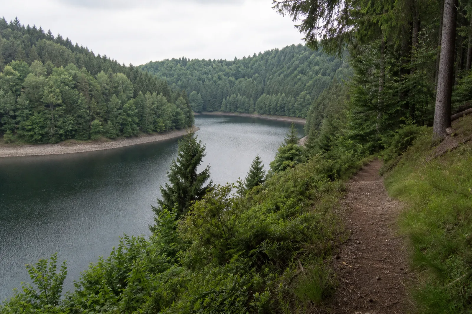 Meinerzhagen: Waldweg an der Fürwiggetalsperre