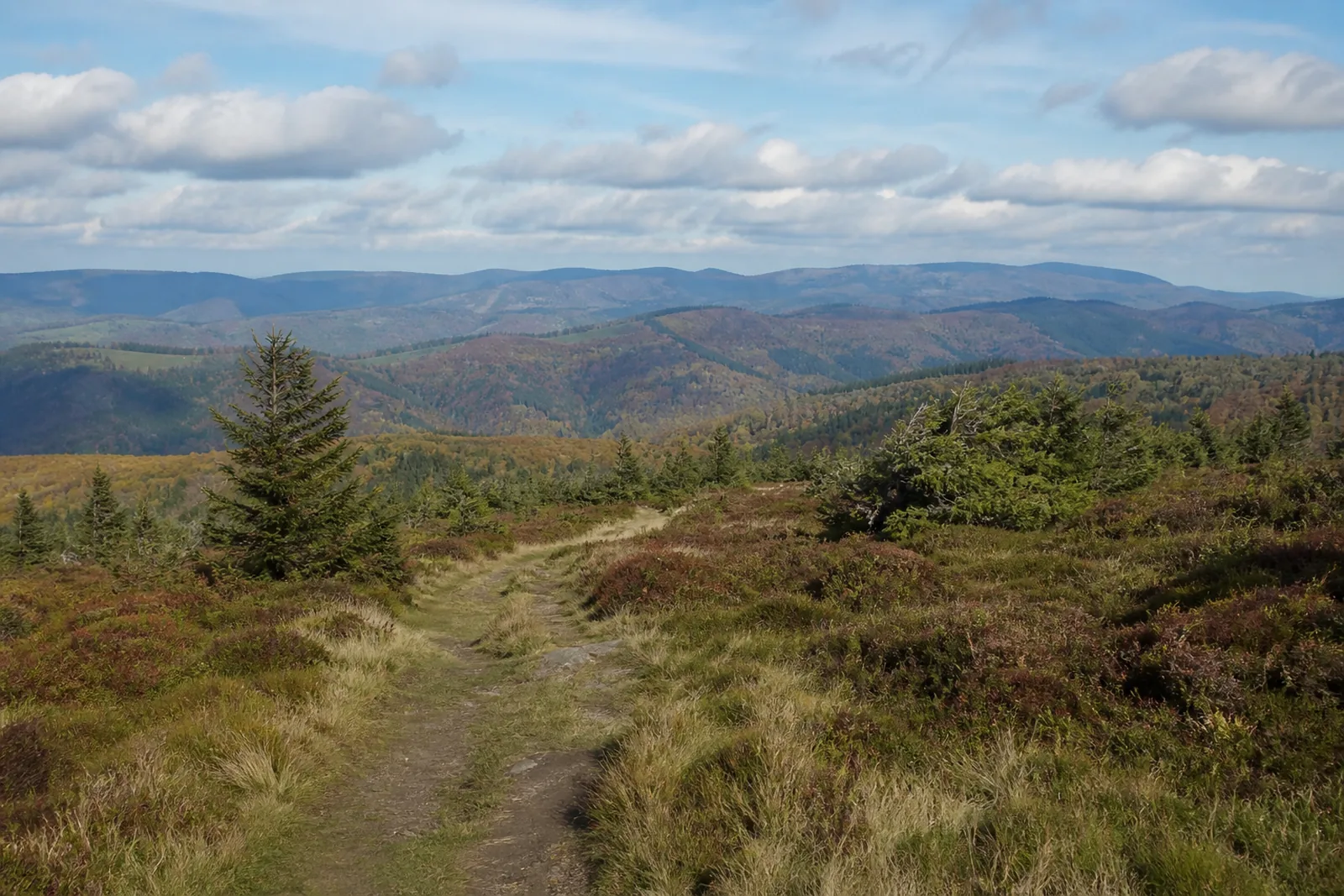 Heideweg an der Nordhelle