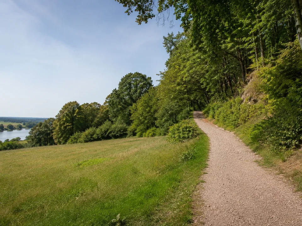 Siebeneichener Hangwald: alter Laubwald mit Parkwiese und ansteigendem Kiesweg oberhalb der Elbe