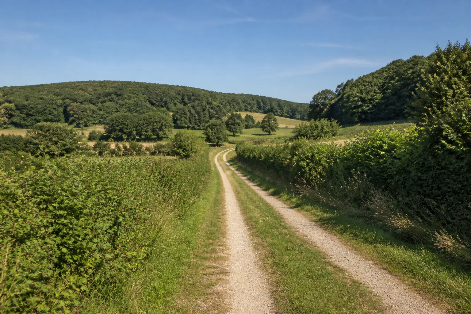 Feldweg bei Buer zwischen Hecken und niedrigen bewaldeten Hügeln