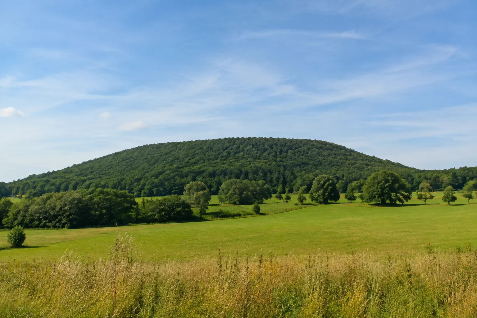 Bewaldete Beutlingkuppe über Wiesen bei Wellingholzhausen ohne sichtbaren Turm