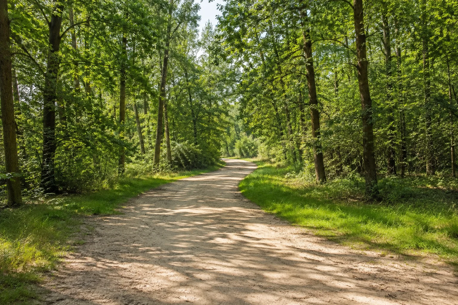 Lichter Laubwald am Borkener Ortsrand mit breitem Sandweg
