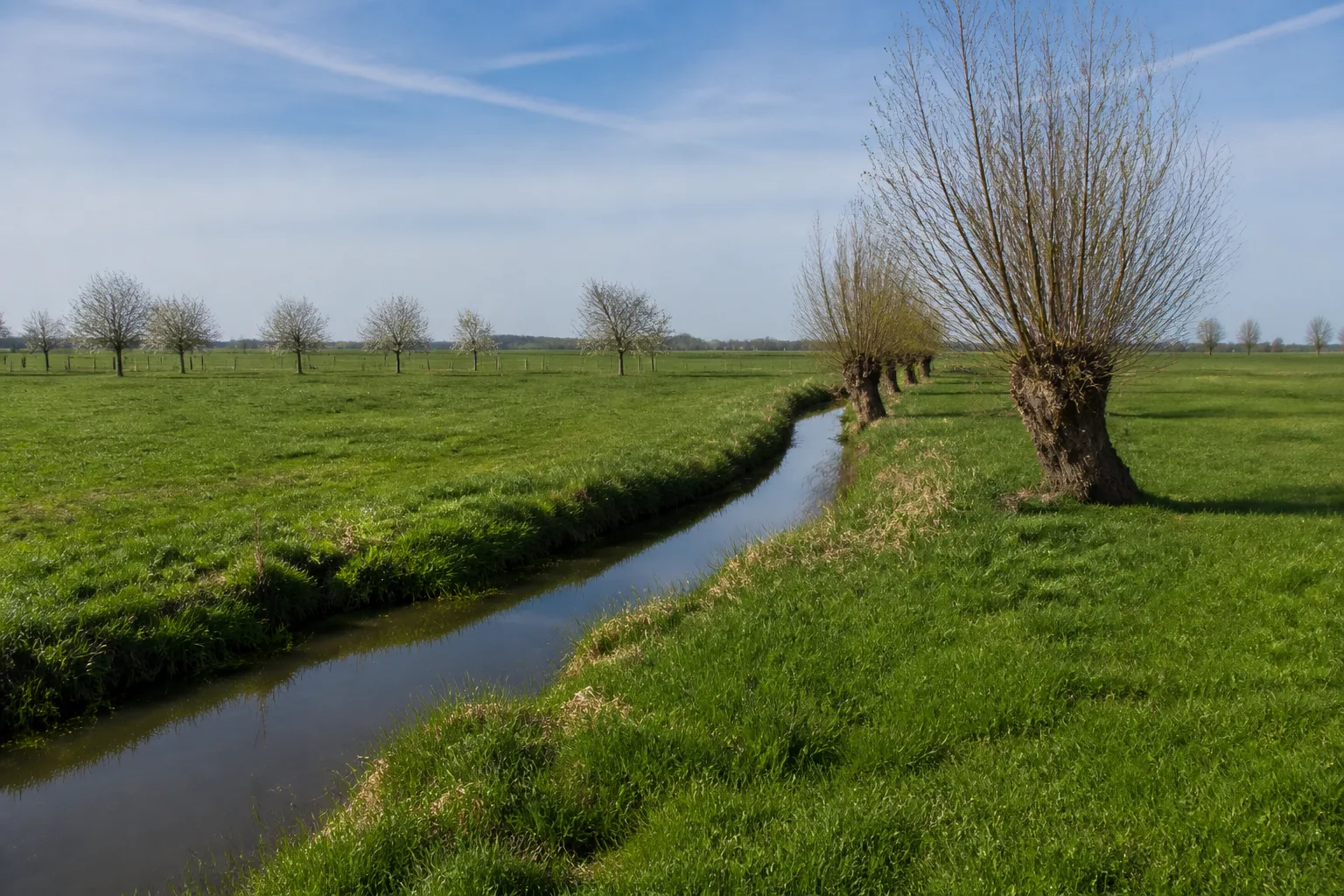 Neffelbach bei Golzheim in Merzenich