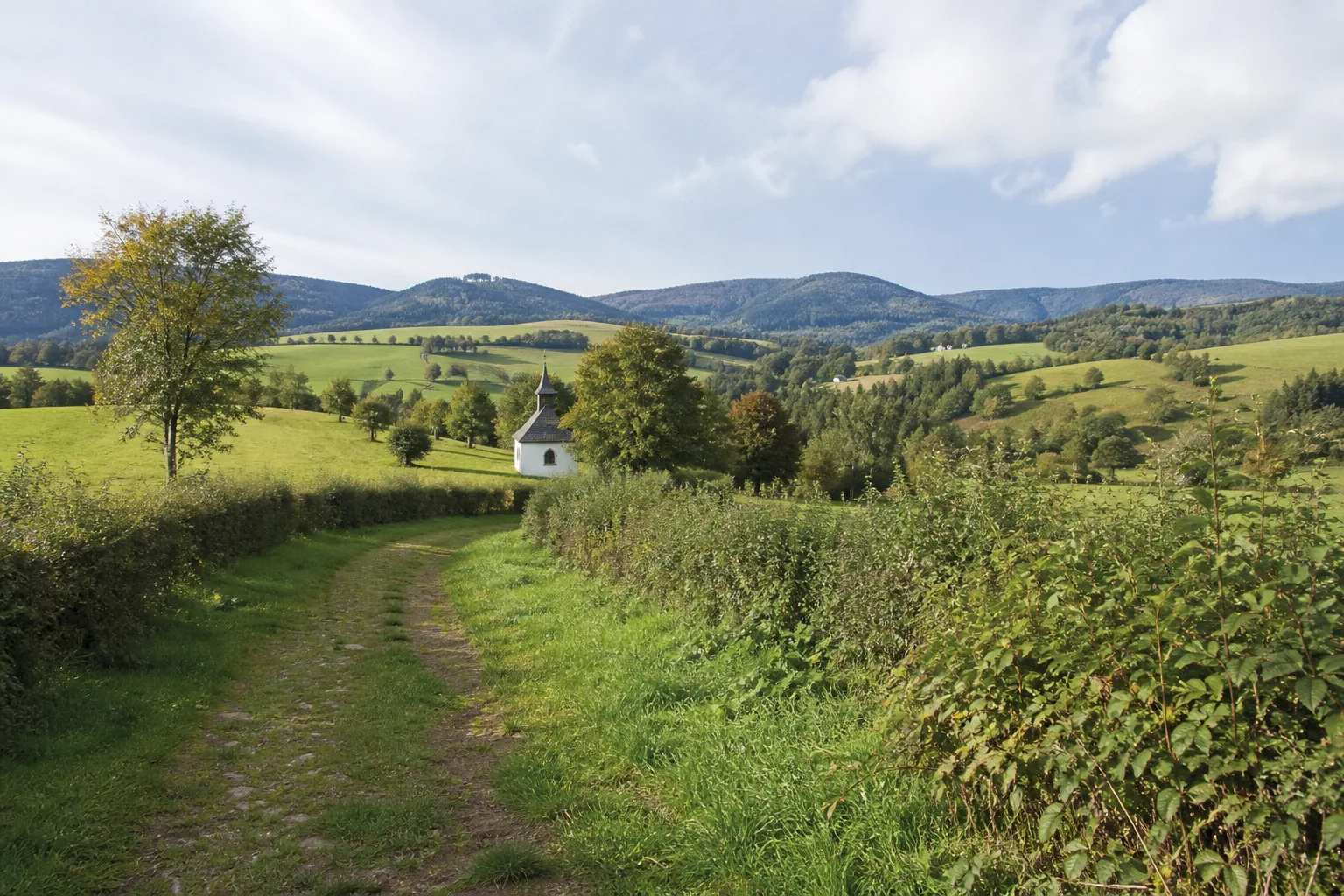 Wiesen- und Waldweg in der Caller Schweiz bei Meschede