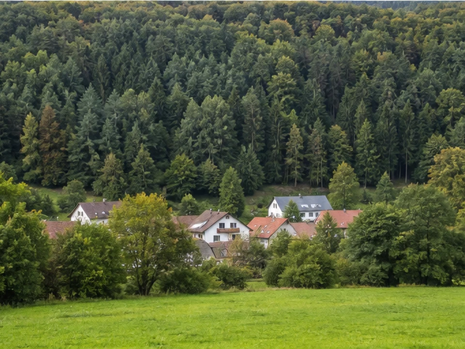 Hessenthal: Kirchdorf und Wiesen am Waldsaum