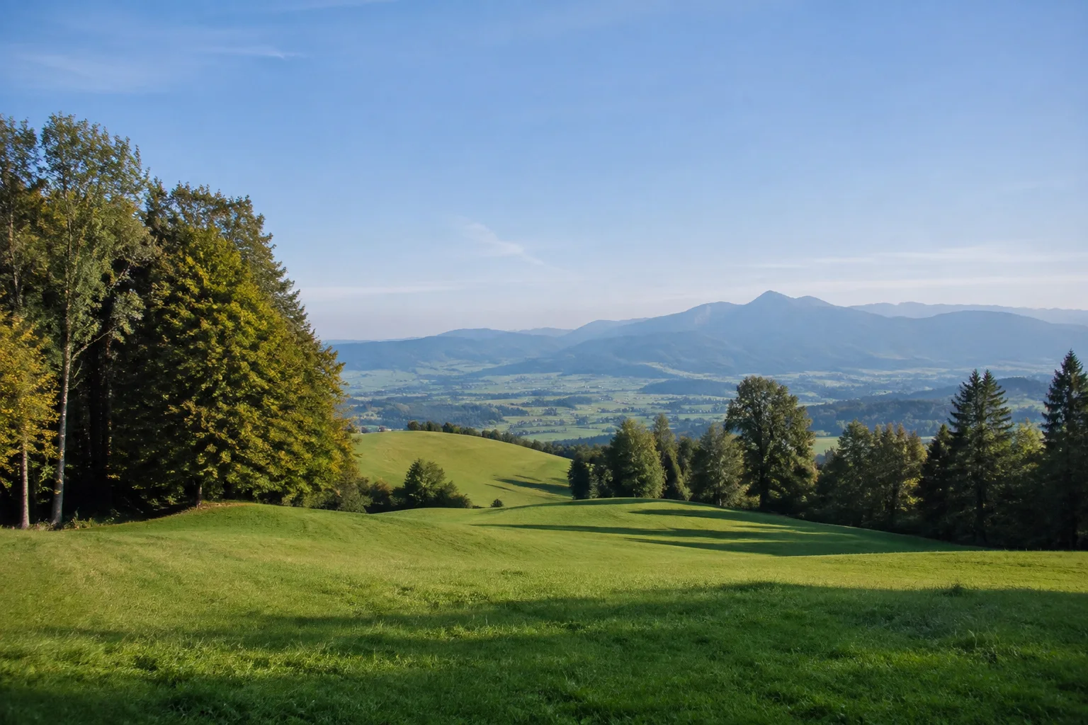 Stadlberg bei Miesbach: offener Wiesenrücken mit gemischten Waldsäumen und weitem Voralpenblick