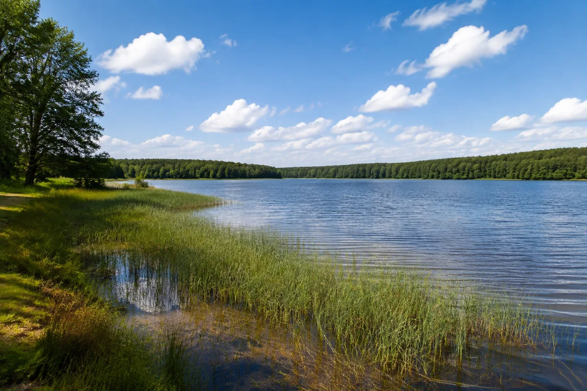 Mirow: Mirow, Startgebiet Mirow Bahnhof: Mirower See mit flachem Schilfufer und bewaldetem Horizont ohne Schlossdarstellung
