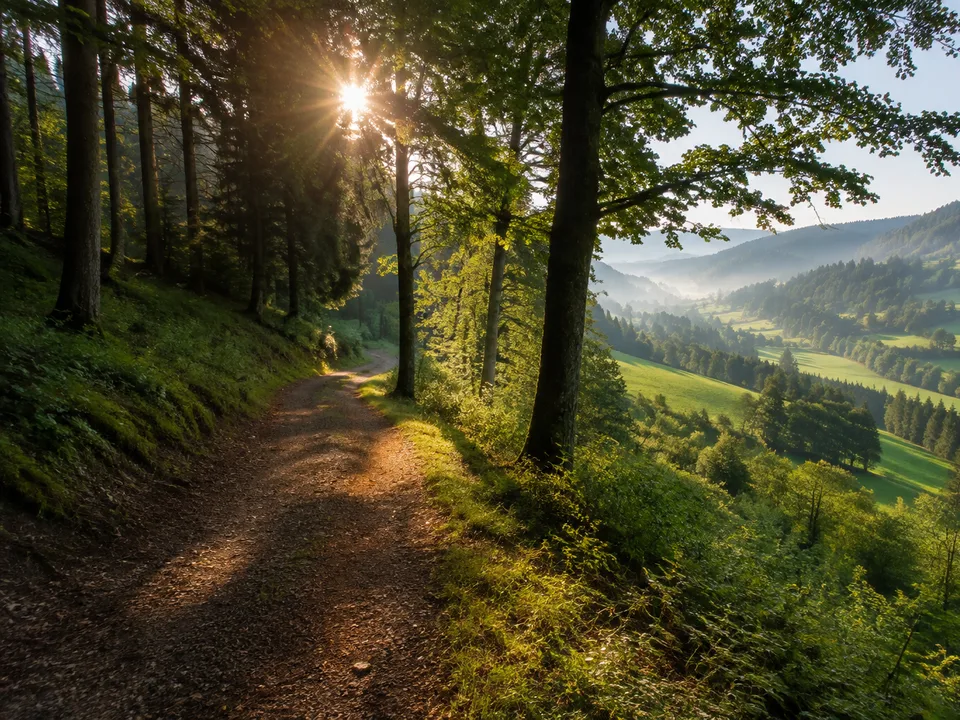 Nagoldtal-Höhen: Waldpfad über einem tiefen Flusstal