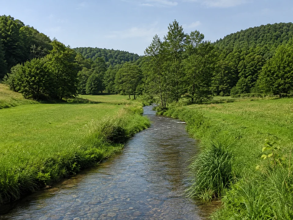 Modau bei Ernsthofen: Schmaler klarer Bach zwischen grünen Talwiesen, Erlen und niedrigen bewaldeten Hängen