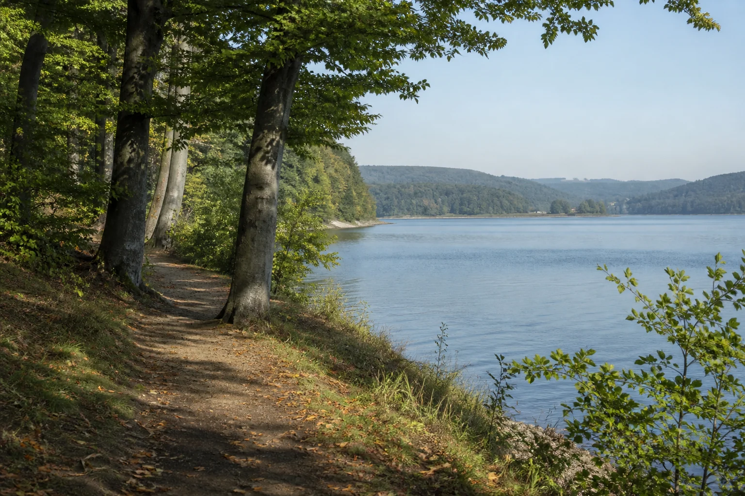 Wanderpfad am bewaldeten Südufer des Möhnesees mit Blick über den Stausee