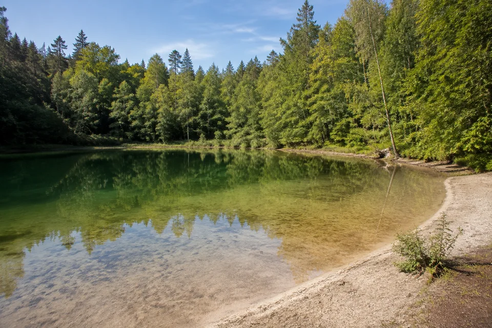 Pinnsee im Wald: Kleiner klarer runder Waldsee mit schmalem sandigem Ufer und dichtem Mischwald