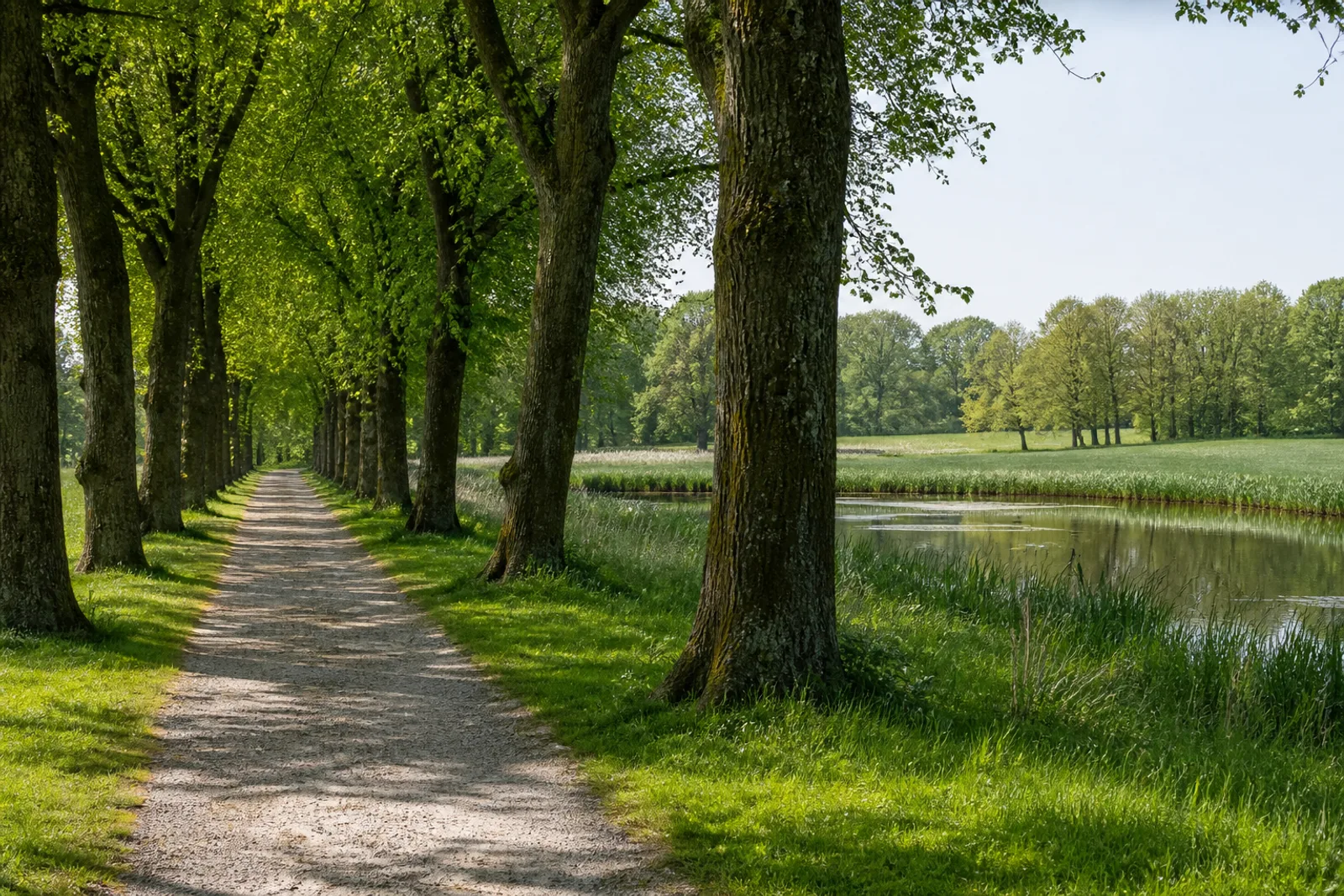 Alte Baumallee und Parkgewässer in der Niersaue bei Schloss Wickrath in Mönchengladbach