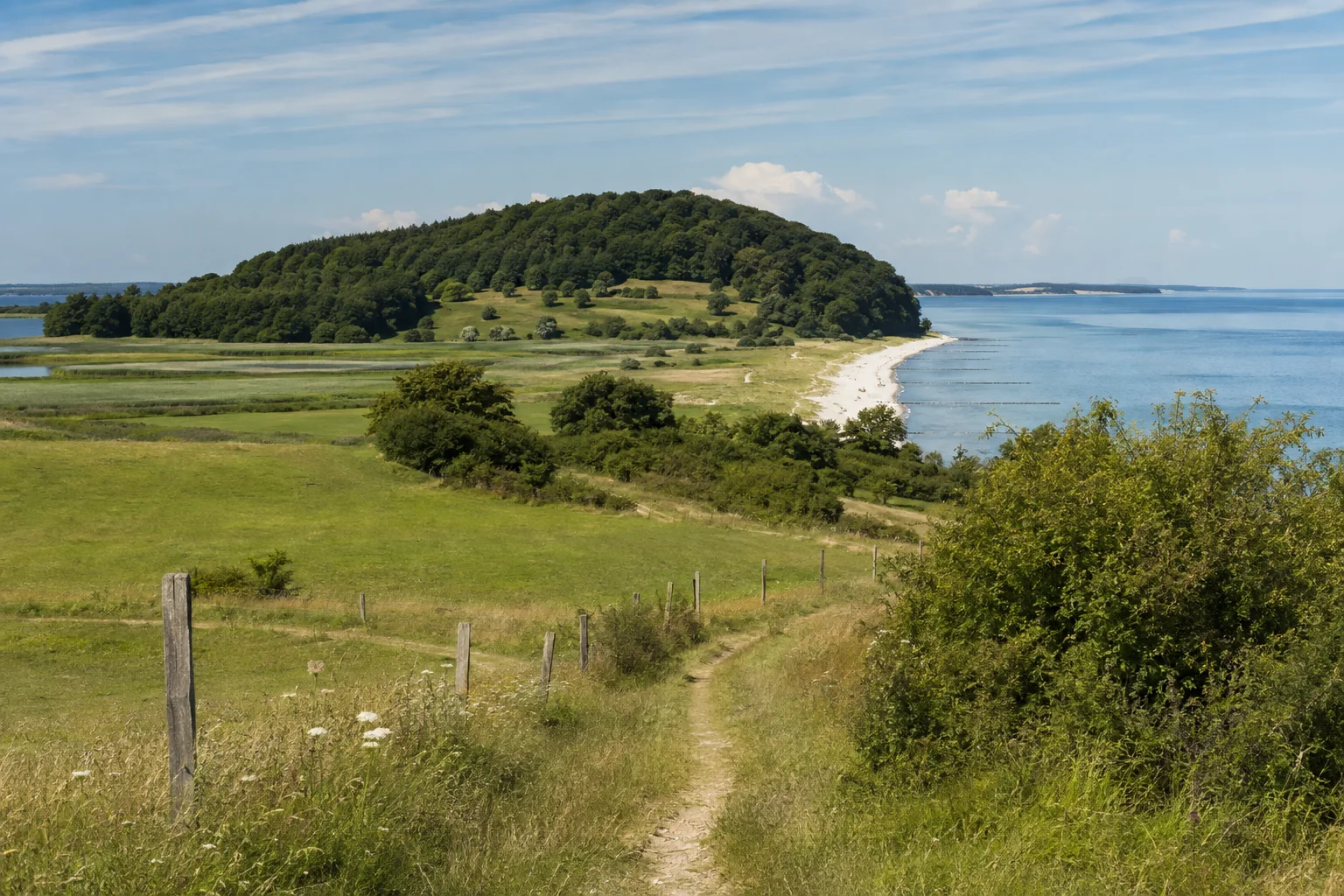 Thiessower Landschaft: niedrige Küstenwiesen und ein kleiner bewaldeter Hügel neben sandigem Ostseestrand aus sicherer Landperspektive