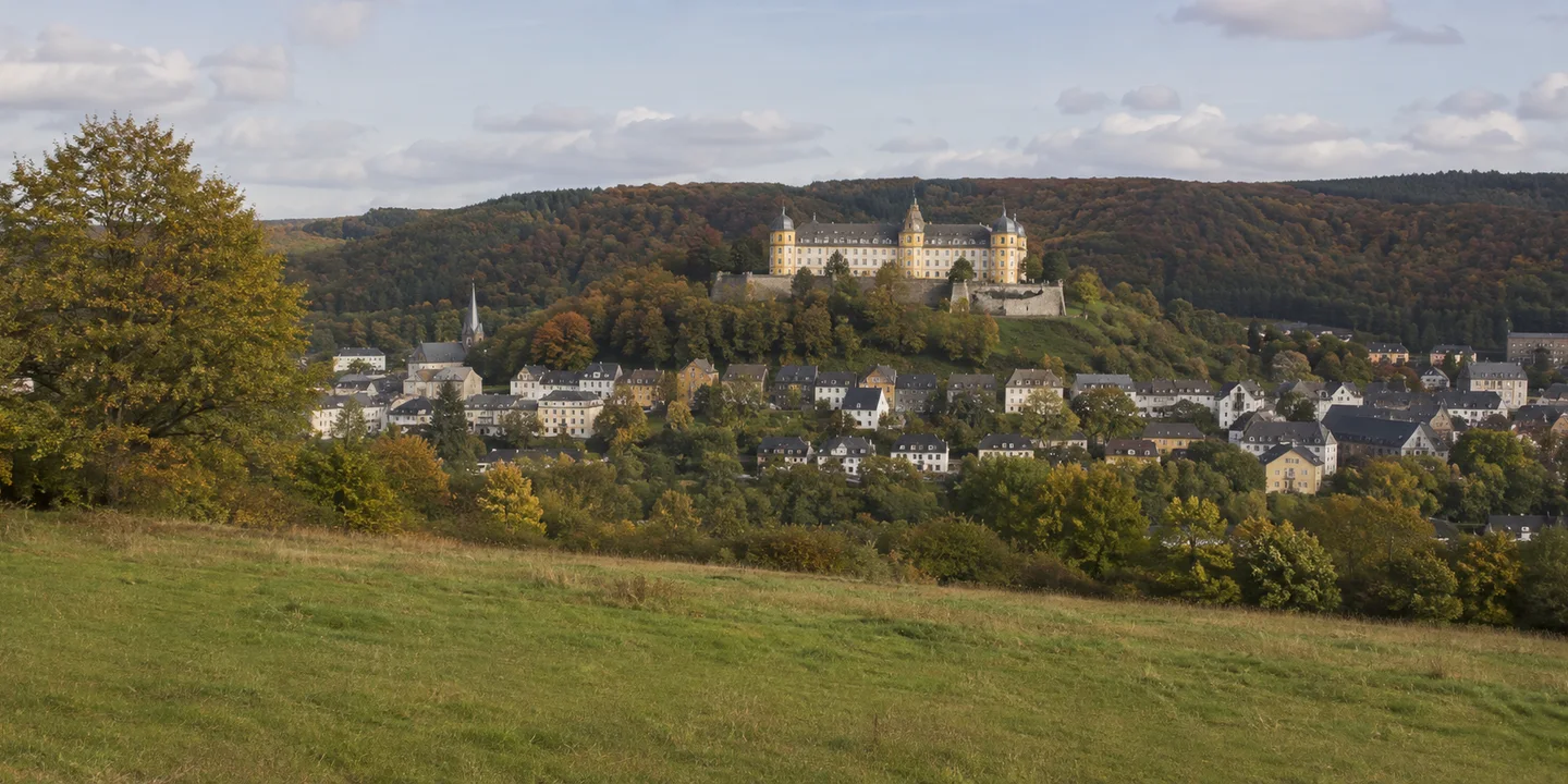 Montabaur: Montabaur: gelbes Schloss über Stadt und Westerwald