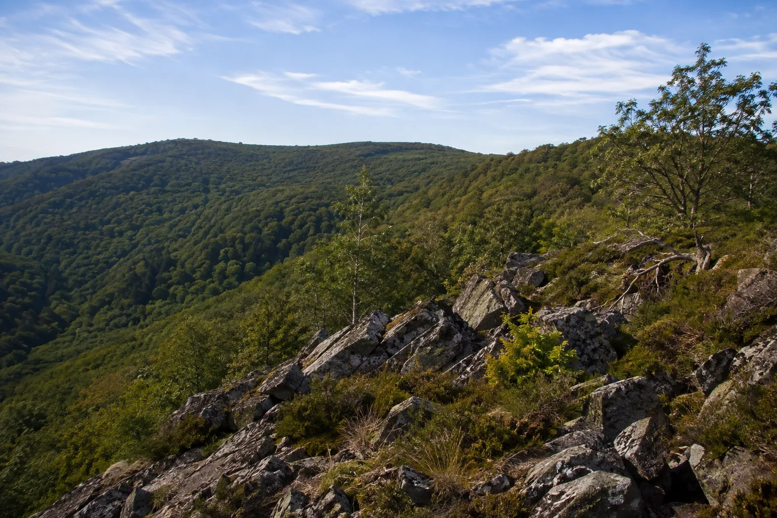 Idarwald: waldiger Höhenrücken mit Bachmulden