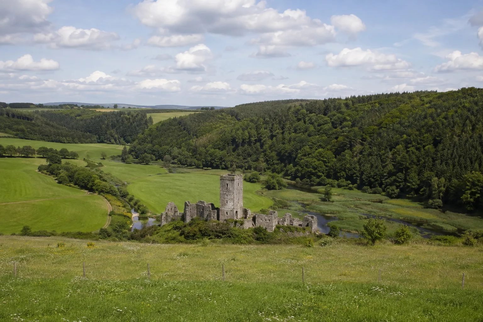 Morbach: Morbach: Hunsrückhochfläche mit Wiesen, Wald und Burgruine Baldenau