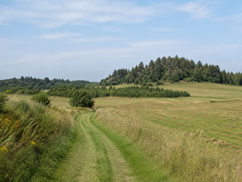 Boxdorfer Kleinkuppen: offene Wiesen und Felder zwischen kleinen bewaldeten Granitkuppen mit schmalem Feldweg