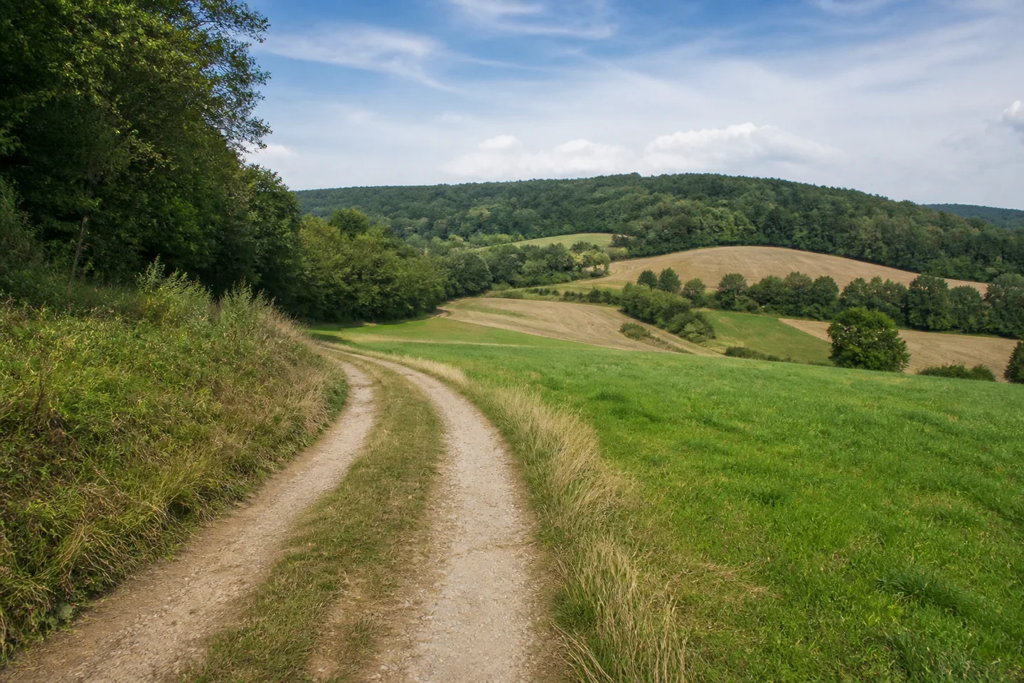 Feldweg durch hügelige offene Fluren bei Sattelbach in Mosbach, Ackerstreifen, Wiesen und Laubwaldsäume am Übergang zwischen Buntsandstein und Muschelkalk.