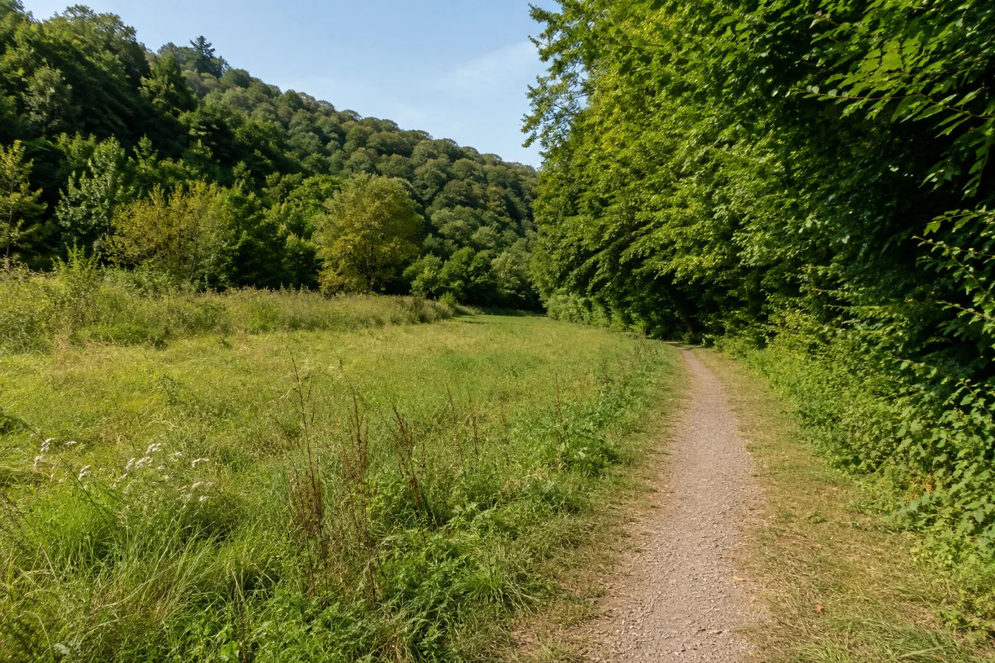Mosbach: Wiesen und Bachgehölz im Elztal bei Mosbach, flacher Weg zwischen grünem Talgrund und niedrigen Laubwaldhängen am Übergang zum Bauland.