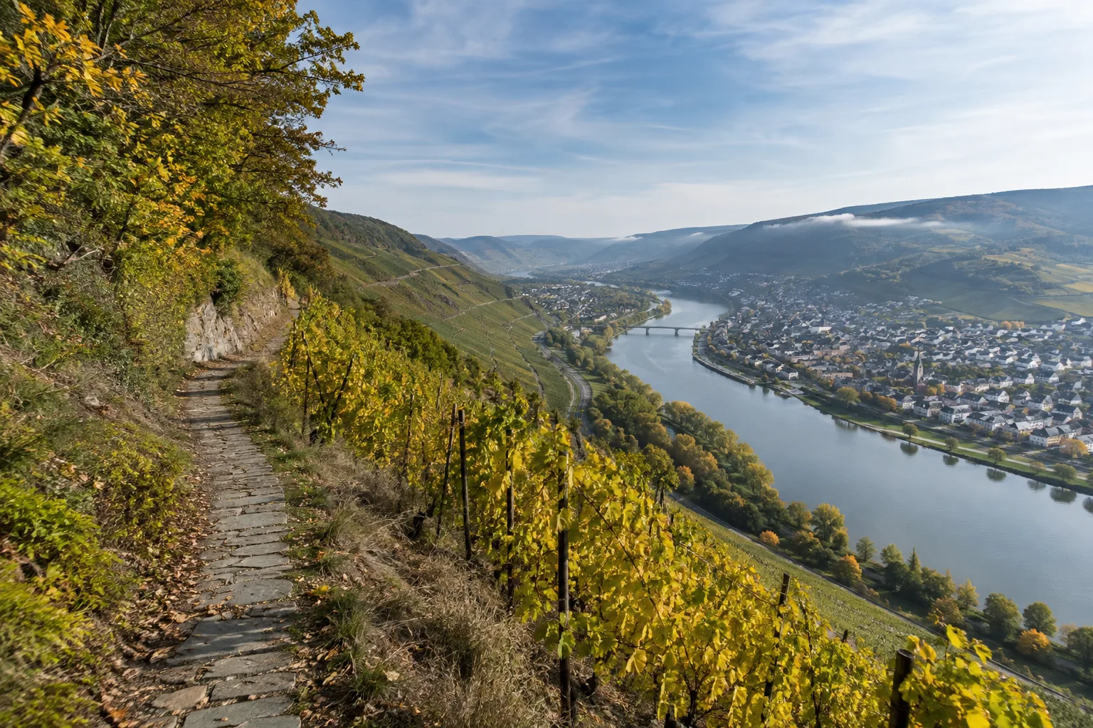 Moselsteig: Bernkastel-Kues: Moselsteig: schmaler Weinbergweg über dem Moseltal