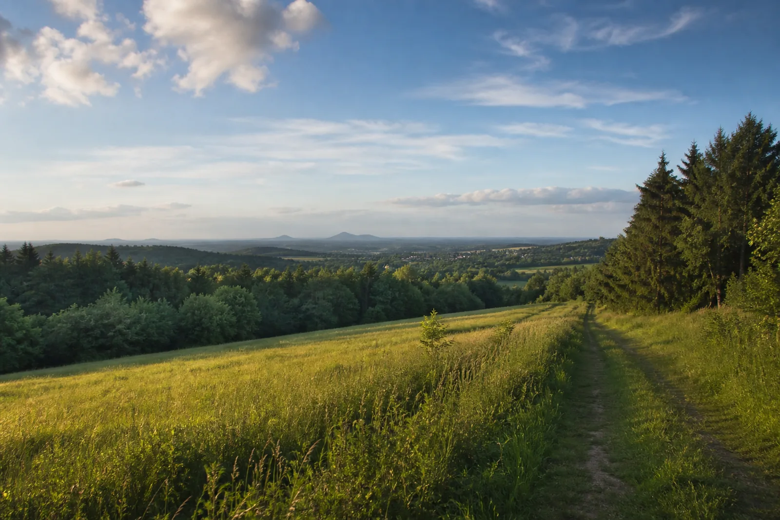 Höhenweg am Heckberg