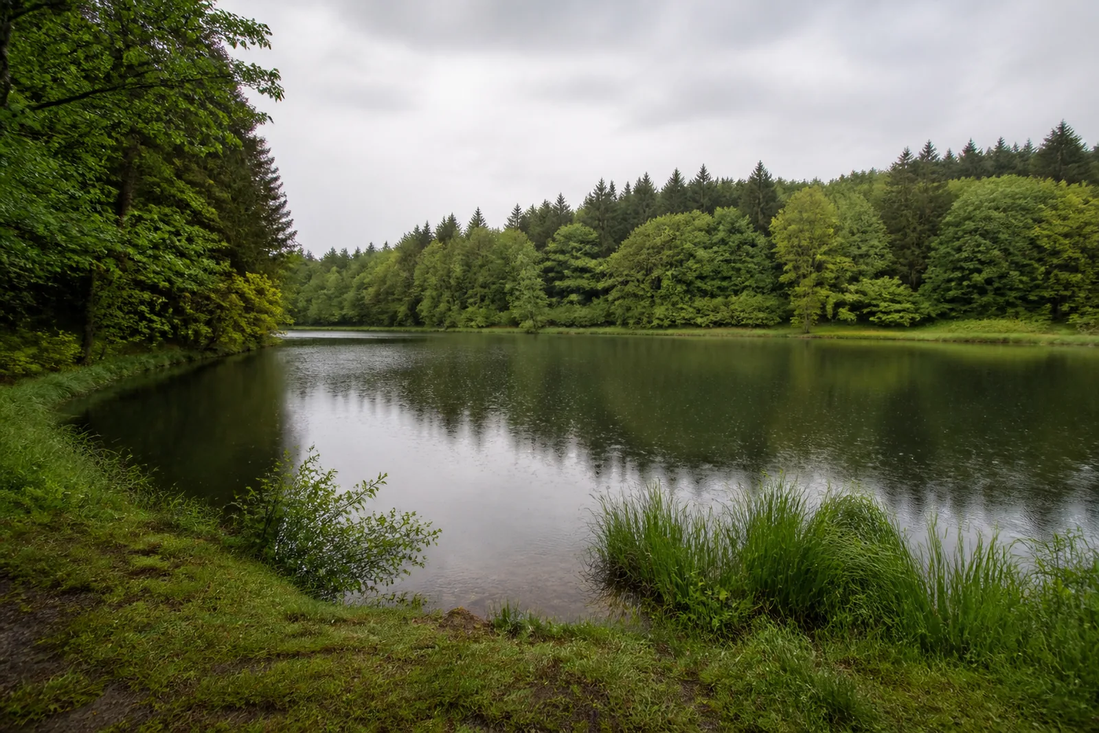 Weg am Herrenteich bei Much