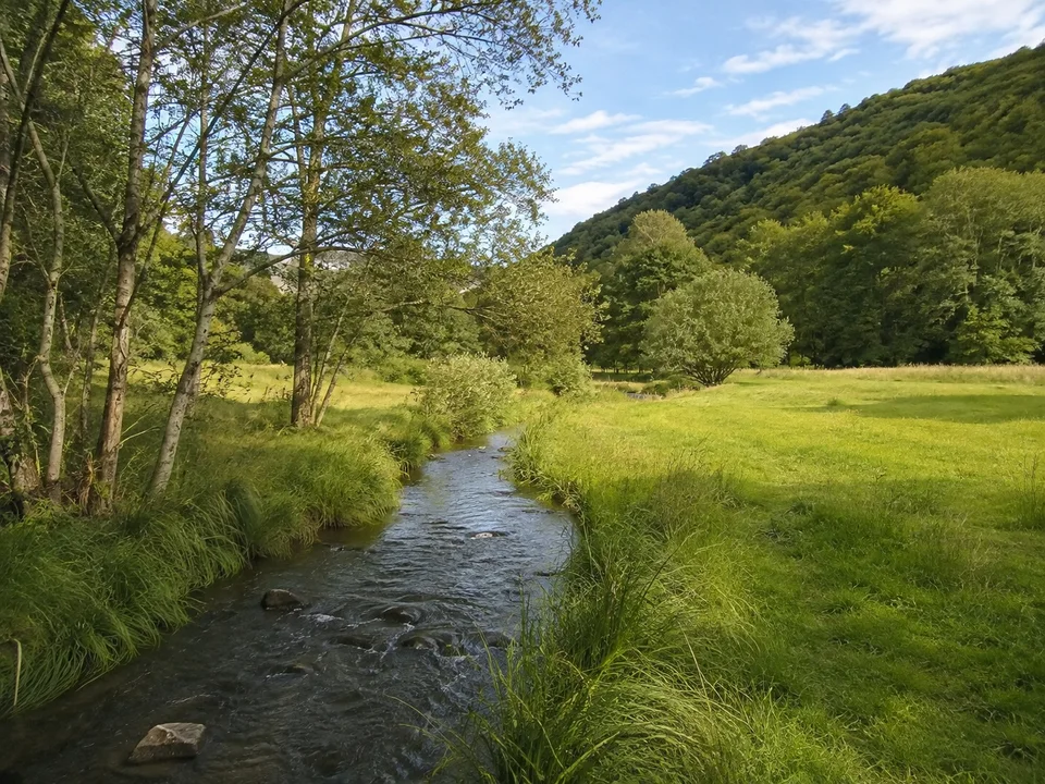 Beerbachtal: Kleiner Bach zwischen grünen Talwiesen mit Erlen und bewaldeten Granithügeln