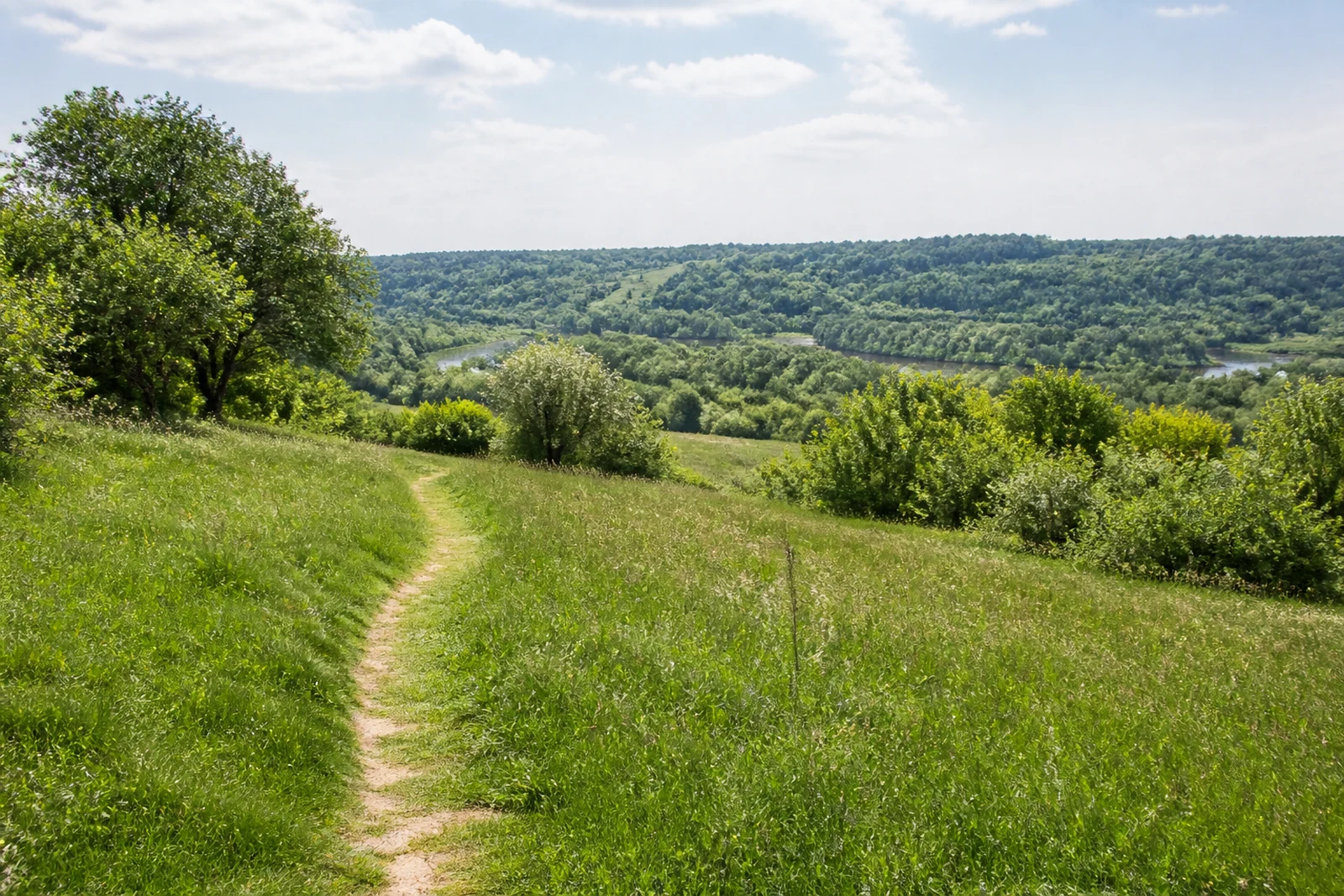 Wiesenpfad am Auberg mit Blick über das grüne Ruhrtal in Mülheim an der Ruhr