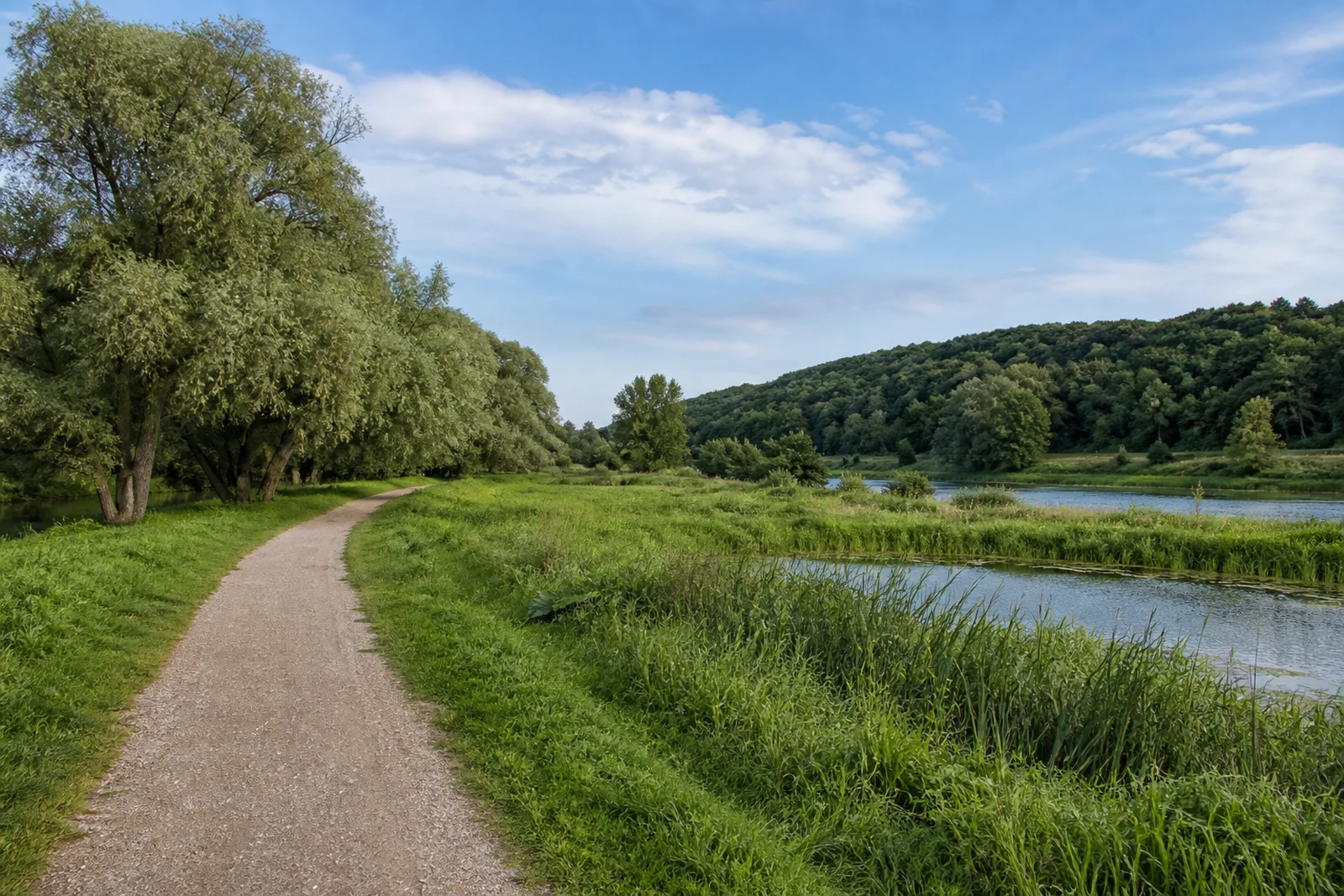 Flacher Wanderweg durch die Saarn-Mendener Ruhraue in Mülheim